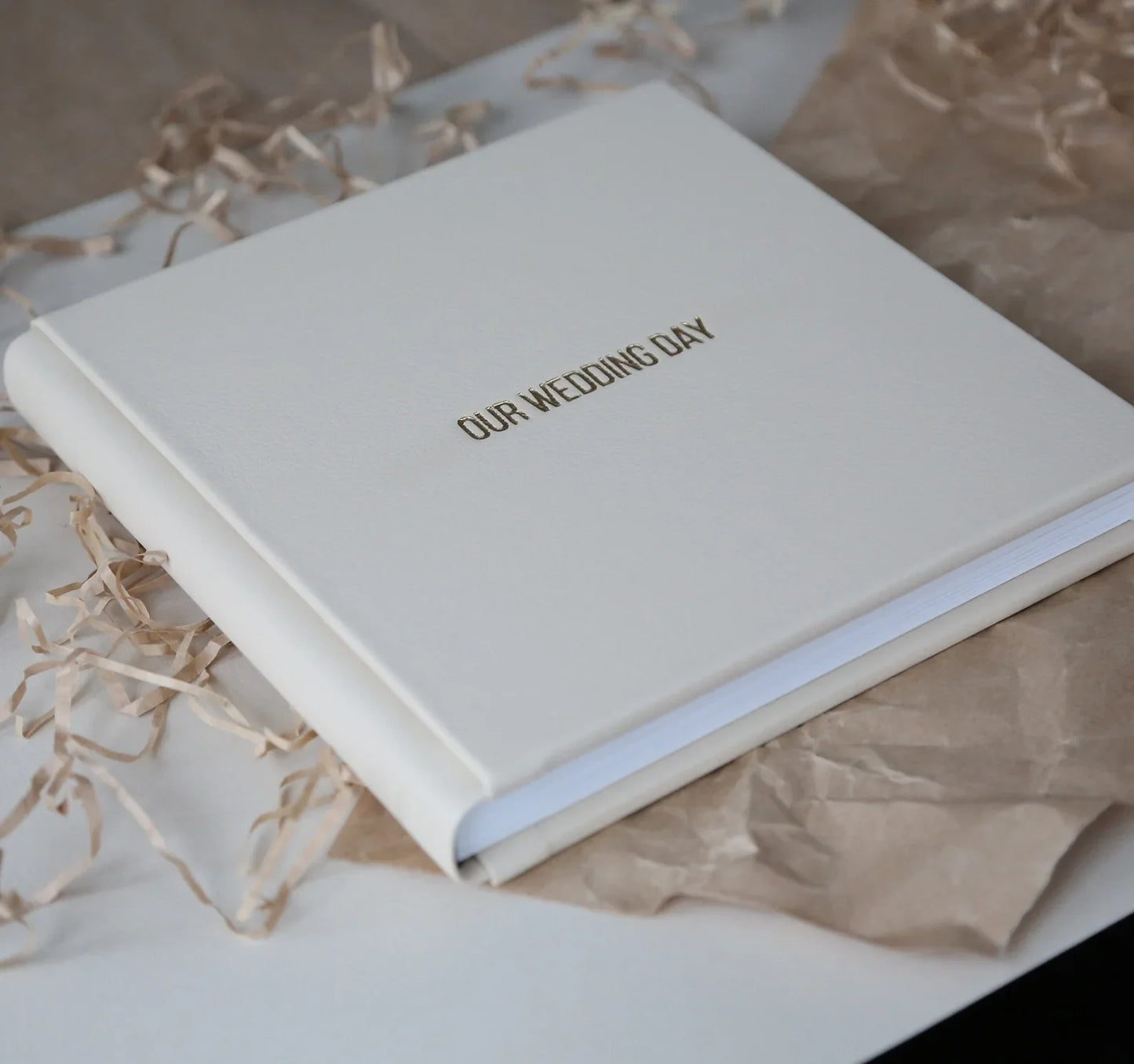 Album Foto Copertă din Piele